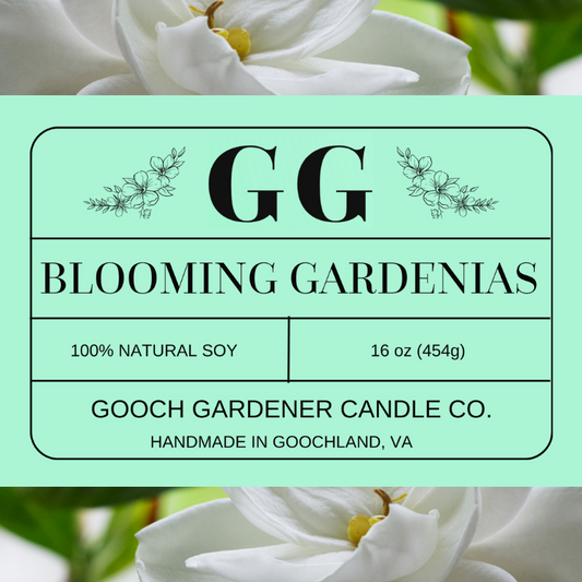 Blooming Gardenias